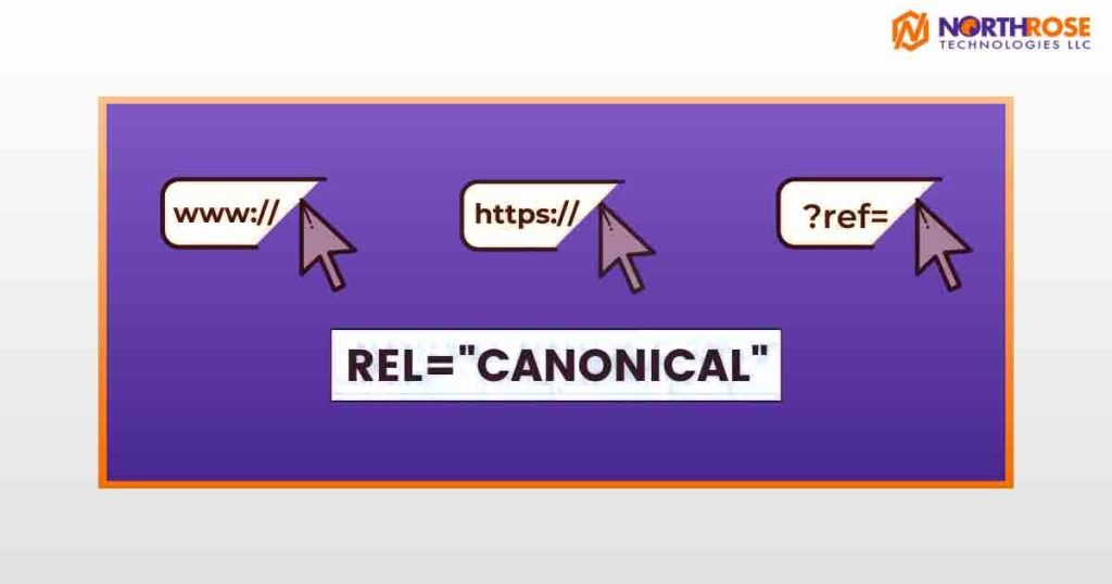 How to Identify Canonical Issues